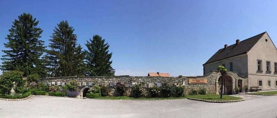 302760970_451310690375203_4808559131111782696_n