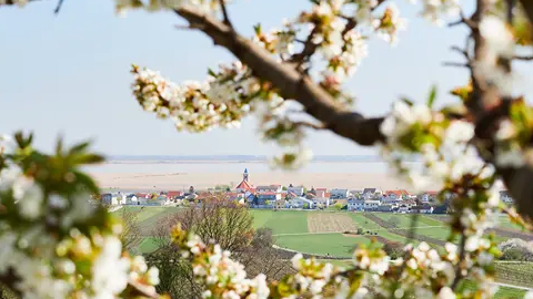 v1_migrated_image_18054407