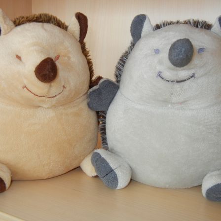 Bild enthält, Plush, Toy, Teddy Bear