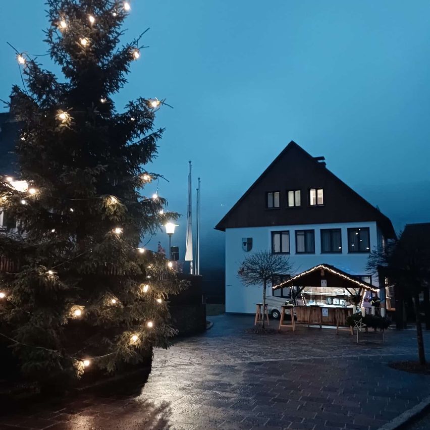 Ein Weihnachtsbaum ist mit Lichterketten beleuchtet vor einem Haus. Ein kleiner Holzständer steht vor dem Haus. Das Haus hat mehrere Fenster und ist von Bäumen umgeben.