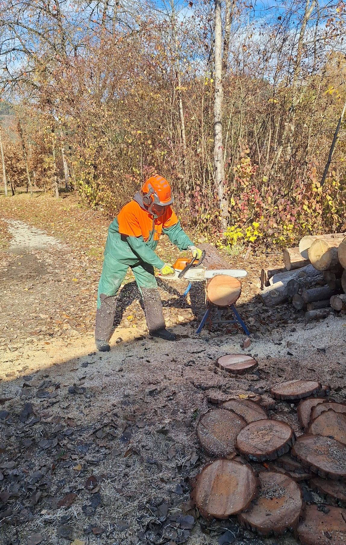Eine Person in oranger und grüner Schutzkleidung schneidet einen Baumstamm mit einer Kettensäge auf einem staubigen Pfad, umgeben von gefallenen Blättern.