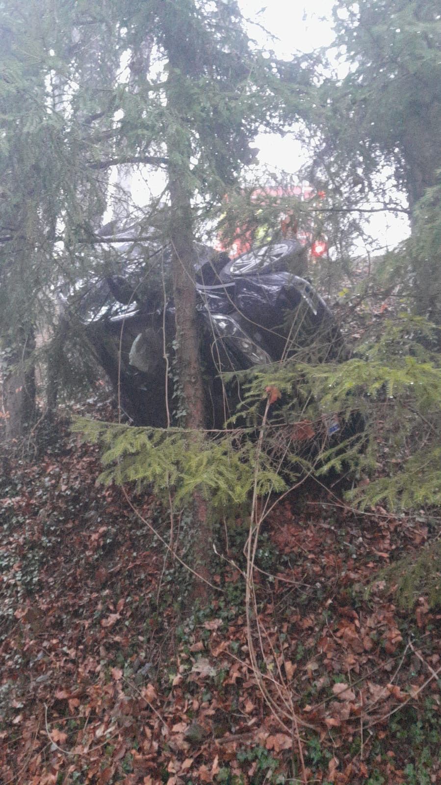 Ein Auto liegt auf dem Kopf im Wald, bedeckt mit Blättern und Pflanzen. Im Hintergrund sind Notfallleuchten zu sehen.
