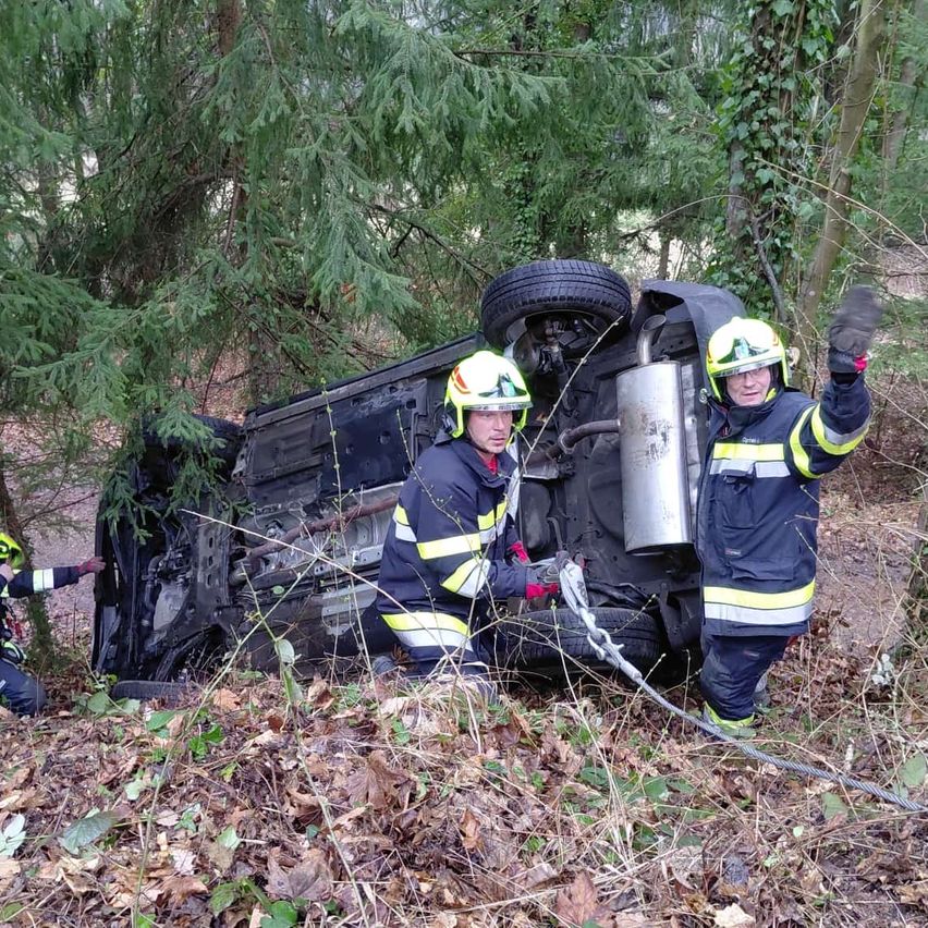 Drei Feuerwehrleute in Uniform versuchen, ein Auto aus dem Wald zu ziehen, einer hält ein Seil.