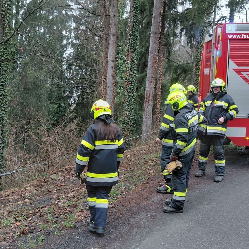 Feuerwehrleute in Uniformen stehen auf einem Waldweg, einer hält eine Seil. Ein Feuerwehrauto ist in der Nähe geparkt.