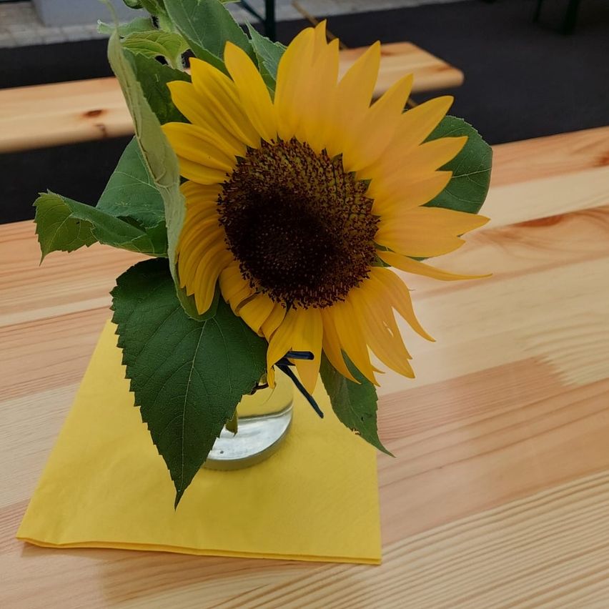 Eine Sonnenblume in einer klaren Glasvase auf einem gelben Serviettentuch, auf einem Holztisch platziert.