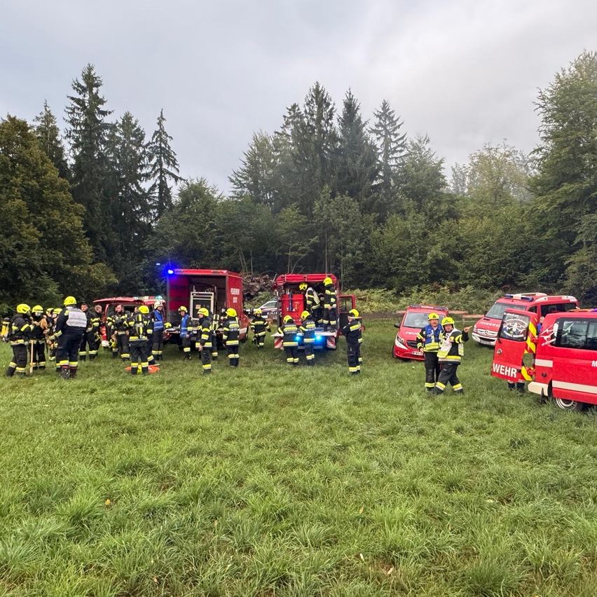 Eine Gruppe von Feuerwehrleuten in gelben Helmen versammelt sich auf einer Wiese mit roten Feuerwehrfahrzeugen und Fahrzeugen in der Nähe. Bäume und ein bewölkter Himmel sind im Hintergrund zu sehen.