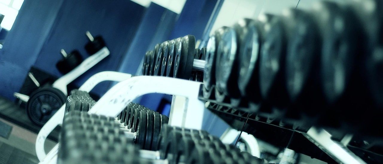 Bild enthält, Fitness, Gym, Sport, Working Out, Gym Weights, Machine, Wheel