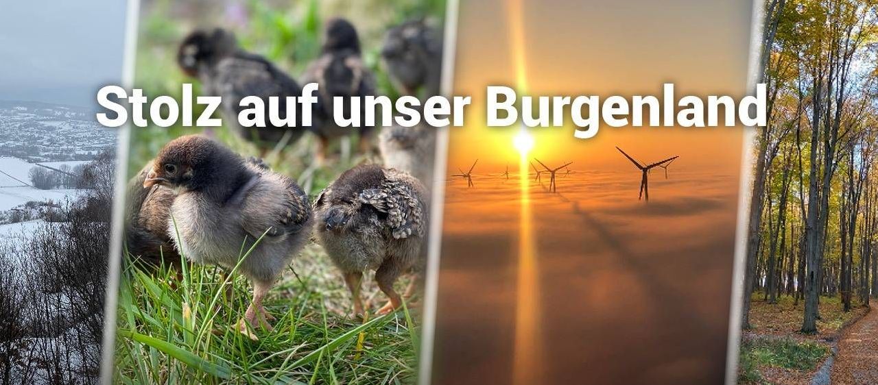 v1_migrated_image_2633227