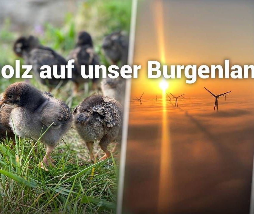 v1_migrated_image_2633227