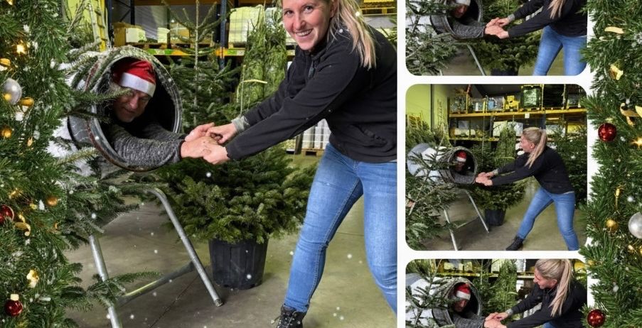 Eine Collage von Fotos, die eine Frau zeigt, die einem Mann mit einem Weihnachtsbaum in einem Lager hilft. Das Lager ist mit Weihnachtsdekorationen geschmückt und es gibt Regale mit verschiedenen Artikeln.