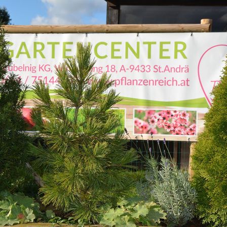 Werbung für einen Gartencenter mit einer kleinen Kiefer, grünen Pflanzen und einem Bild von rosa Blumen.