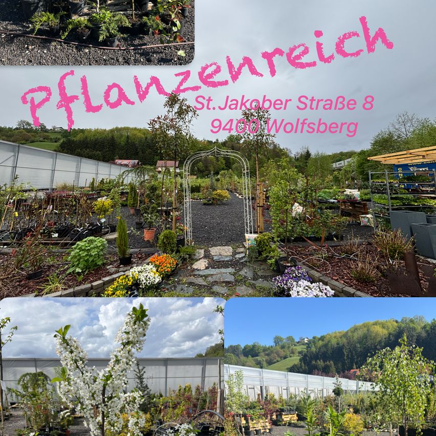 Eine Collage von Bildern, die einen Garten mit verschiedenen Pflanzen und Blumen, einem weißen Bogengitter und einem von Bäumen gesäumten Weg zeigt. Der Text in der Mitte lautet 'Pflanzerei', was auf Deutsch 'Gärtnerei' bedeutet.