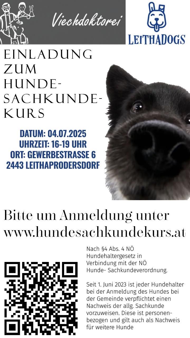 Werbeanzeige für einen Hundesachkunde-Kurs. Datum: 04.07.2025, Zeit: 16-19 Uhr. Ort: Gewerbestrasse 6, 2443 Leithaprodersdorf. Anmeldung unter www.hundesachkundekurs.at.