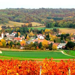 Tree, Outdoors, Nature, Scenery, Building, Countryside, Field, Grass, Landscape, Rural