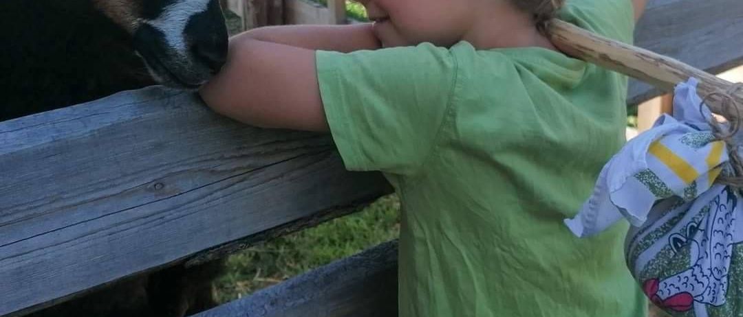 v1_migrated_image_36775657