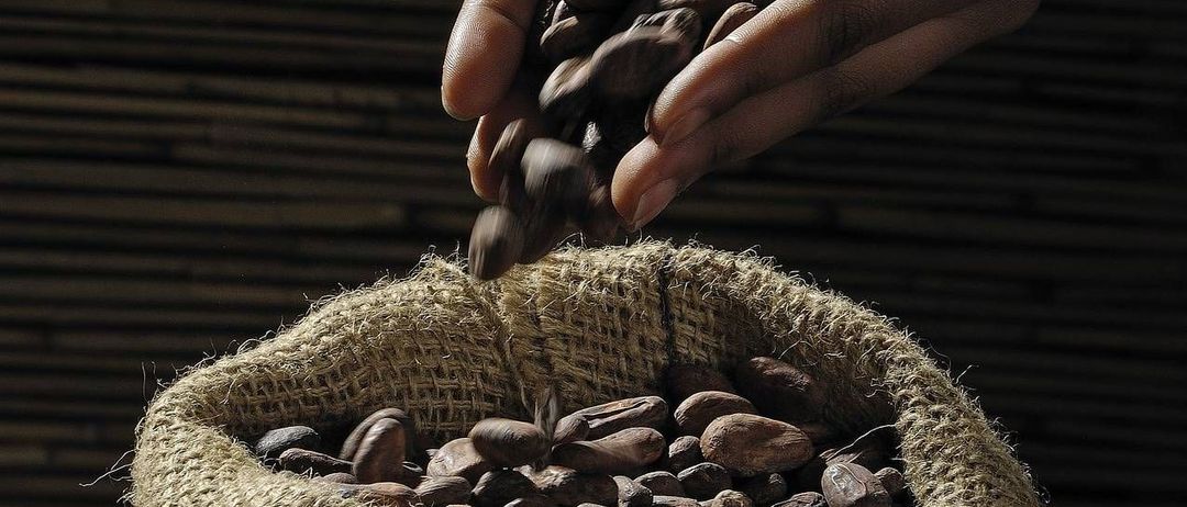 v1_migrated_image_62736615