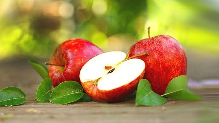 v1_migrated_image_29445982