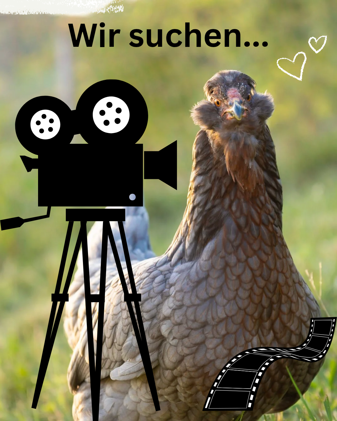 A chicken stands next to a camera on a tripod, with a film reel nearby, and hearts in the background.