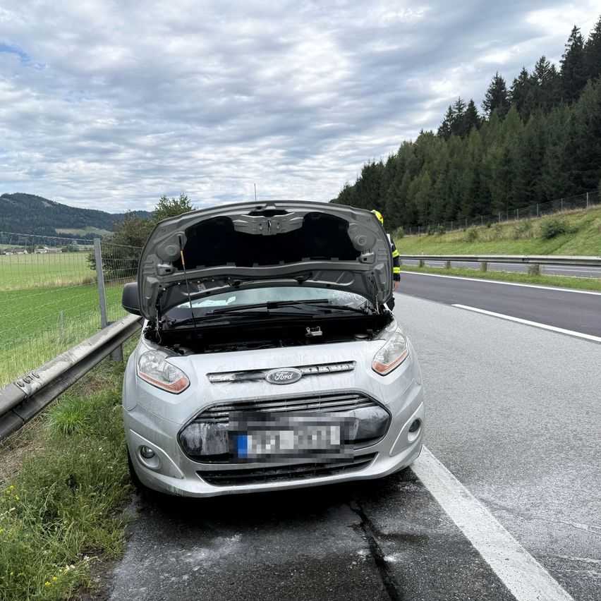 Ein silberner Ford-Wagen mit geöffneter Motorhaube steht am Straßenrand mit einem Grasbereich und Bäumen im Hintergrund.