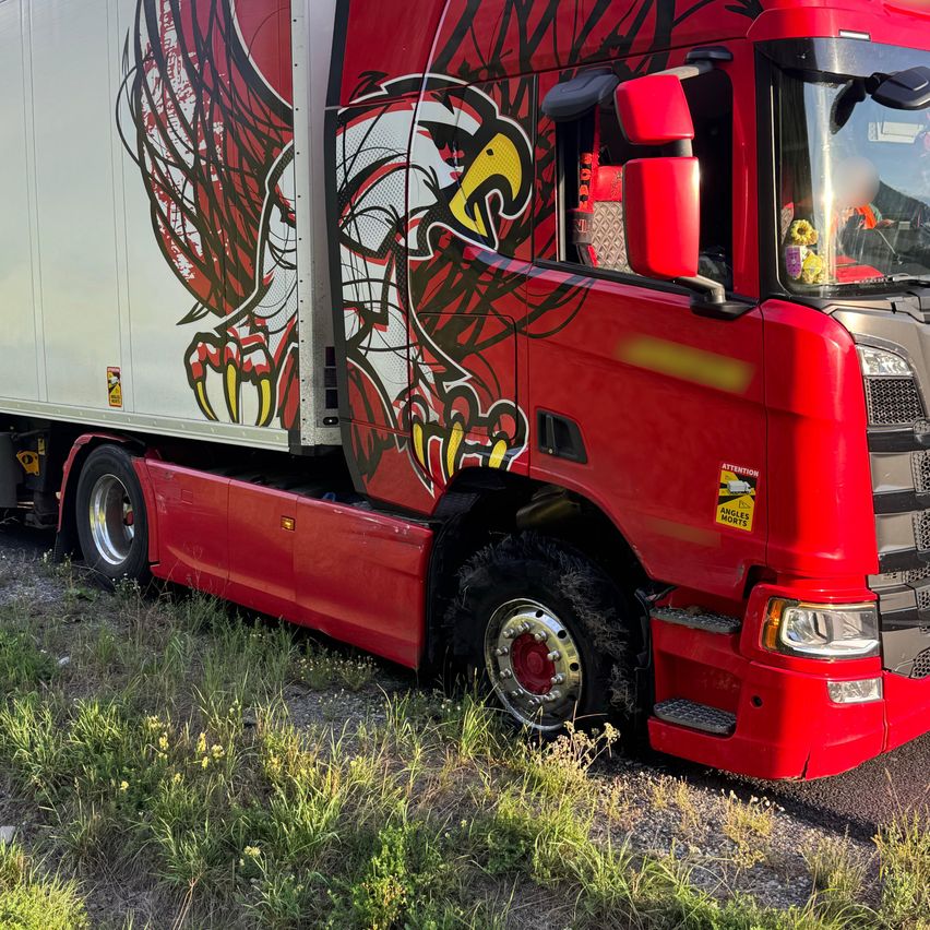 Ein roter Sattelschlepper mit einem großen Adlerdesign an der Seite, am Straßenrand geparkt.