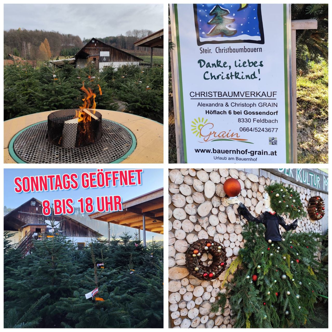 Vier Bilder: ein Weihnachtsbaum-Baum, ein brennendes Feuerloch, ein deutsches Schild und ein Weihnachtsbaum-Shop.