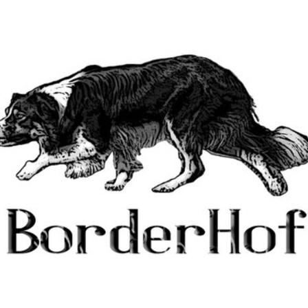 v1_migrated_image_46693994