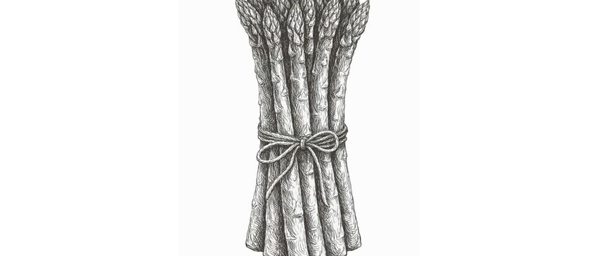 A black-and-white image features asparagus tied with a ribbon. Below, text reads: On Friday, May 8, 2026, at 5 PM, at Gasthaus Pock. Expect seasonal dishes with asparagus. Make a reservation!