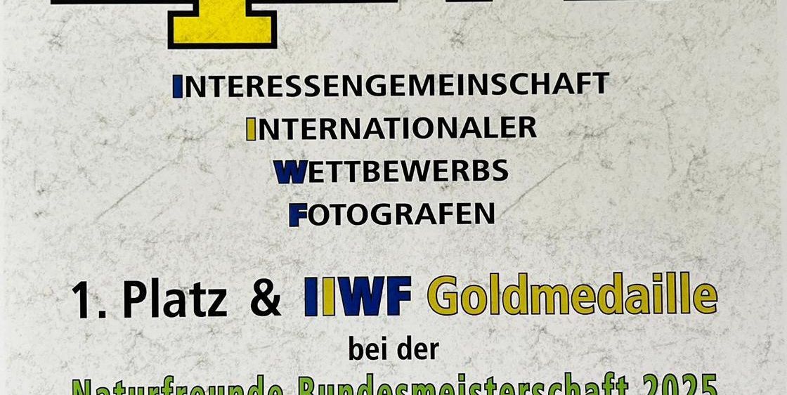 Das Bild zeigt eine Urkunde für einen Fotowettbewerb. Es steht geschrieben: '1. Platz & IWF Goldmedaille für die Naturfreunde Bundesmeisterschaft 2025'. Die Gewinnerin ist Ingrid Radlegger von NF FG Bischofshofen. Die Auszeichnung ist für ein digitales Schwarz-Weiß-Foto.