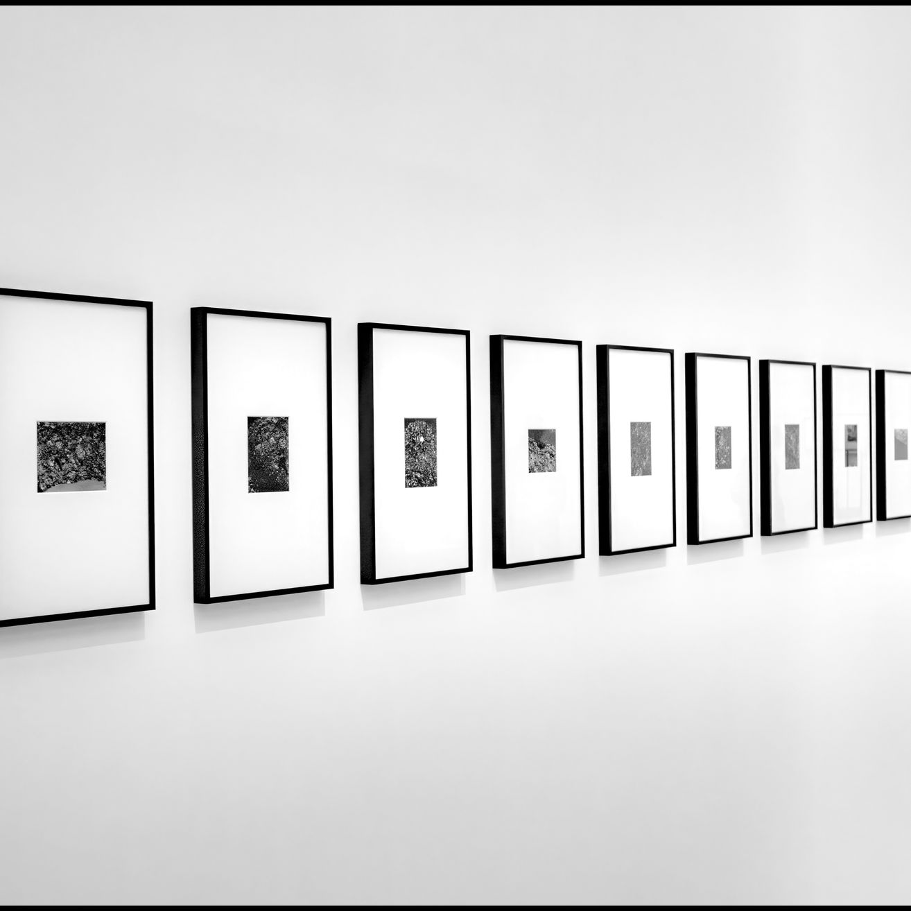 Eine Reihe schwarz-weißer gerahmter Fotografien ist an einer weißen Wand montiert. Die Bilder sind in einer geraden Linie angeordnet.