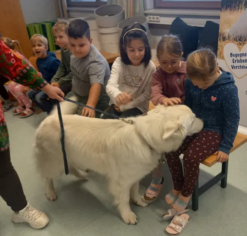 Eine Gruppe von Kindern sitzt auf einer Bank und interagiert mit einem weißen Hund, der eine blaue Leine trägt. Die Kinder schauen den Hund an und scheinen die Interaktion zu genießen.