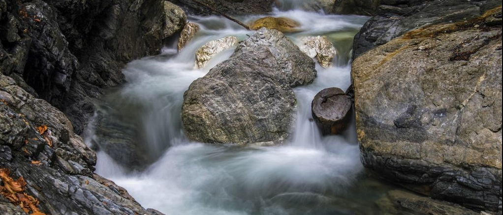 Bild enthält, Nature, Outdoors, Water, Stream, Rock, Creek, Reptile, Sea Life, Turtle, Waterfall