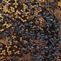 Eine Nahaufnahme eines Bienenstocks, gefüllt mit zahlreichen Bienen, einige arbeiten an Honigzellen, andere an Brutzellen. Die Wabenstruktur ist sichtbar mit gelben und braunen Zellen.