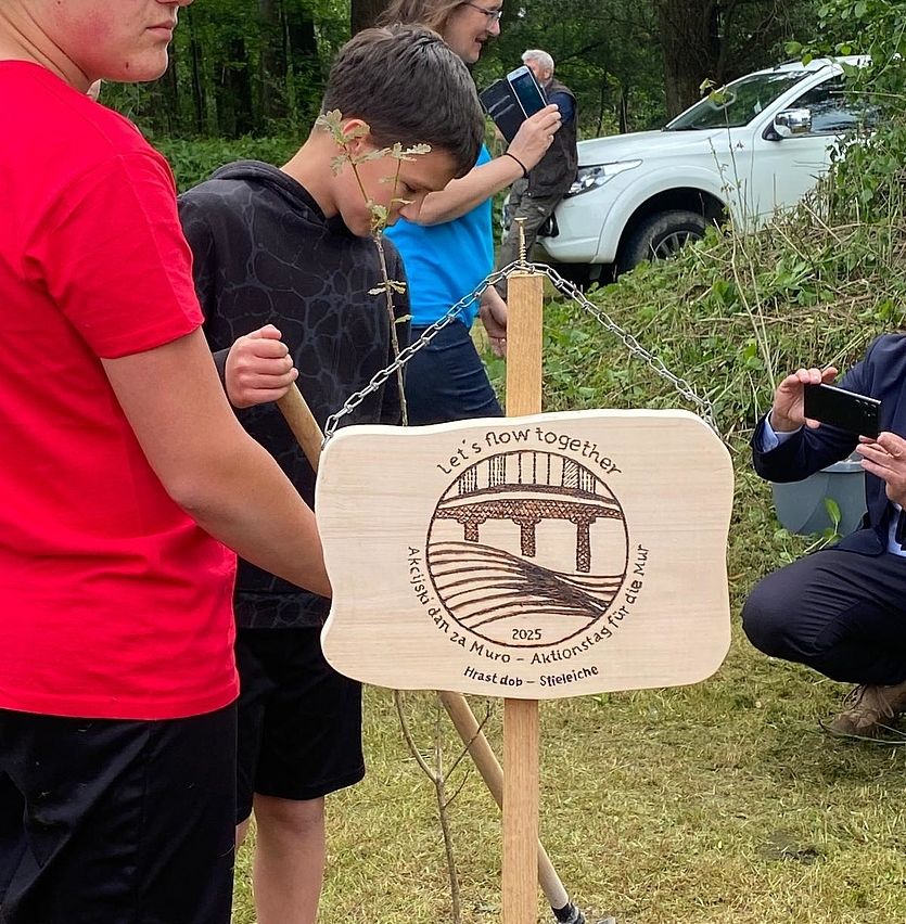 Mehrere Personen pflanzen einen Baum auf einem Hügel. Ein Mann kniet und macht ein Foto. Dahinter steht ein weißer SUV auf dem Hügel geparkt.