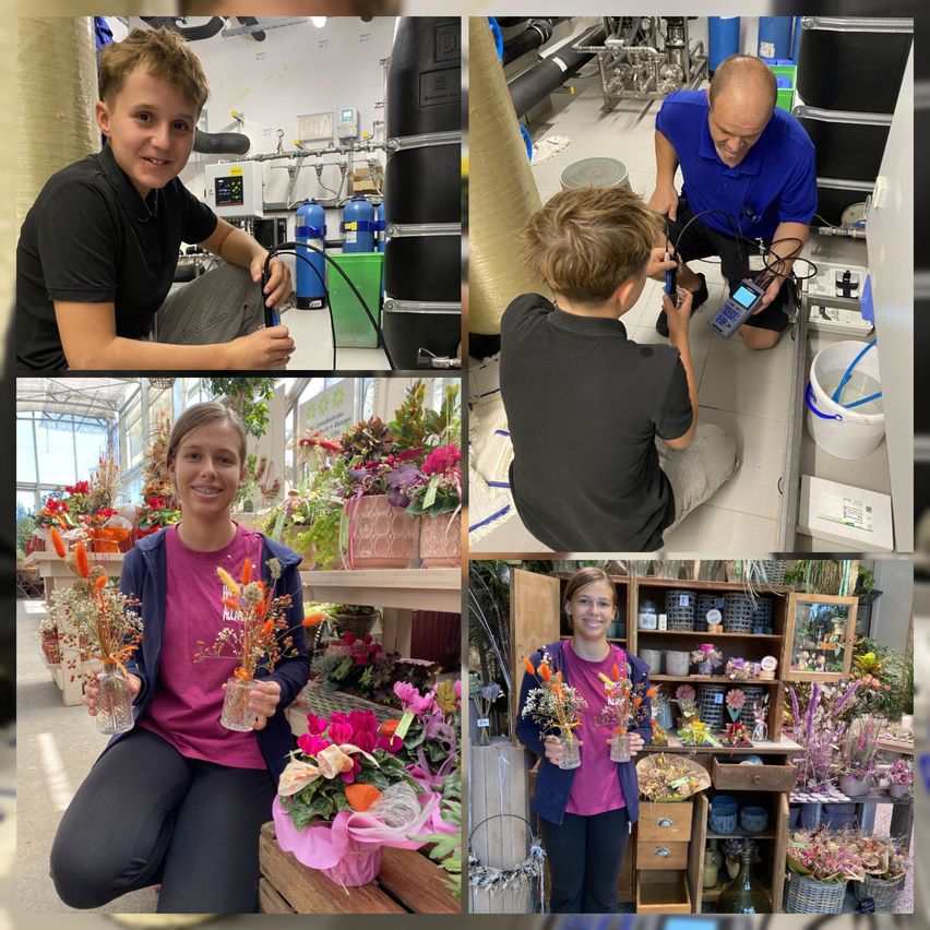 Ein Collage aus vier Bildern, die junge Menschen beim Arbeiten mit Blumen und einem Mann beim Überprüfen von Geräten zeigt.