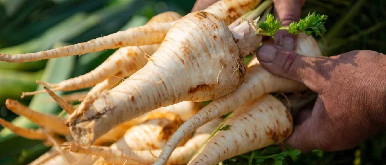 v1_migrated_image_76950333