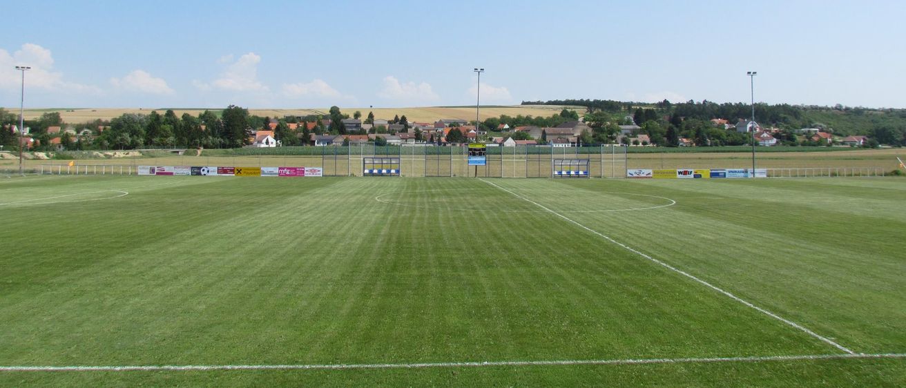 Bild enthält, Field, Grass, Plant, Person