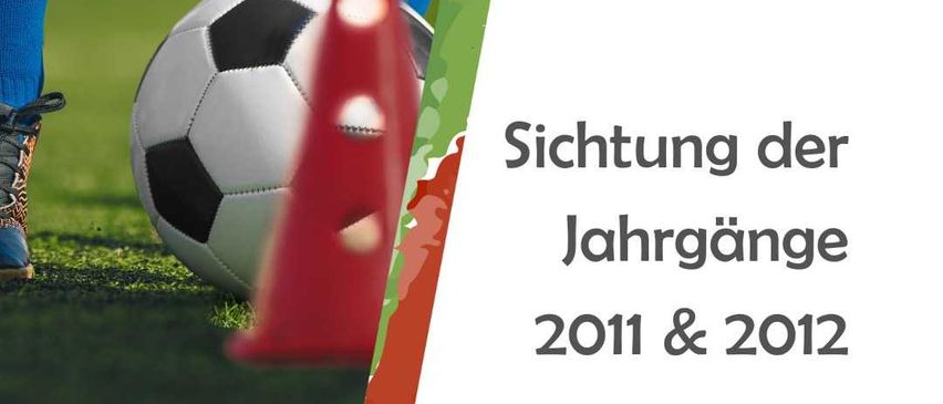 Bild enthält, Football, Soccer Ball, Sport, Advertisement, Poster, Footwear, Shoe, Sneaker