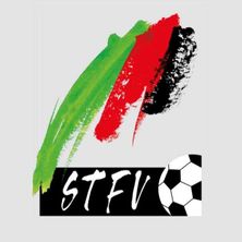 Bild enthält, Soccer, Soccer Ball, Sport, Logo, Art, Graphics