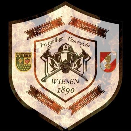 Bild enthält, Armor, Logo, Shield, Aircraft, Airplane, Transportation, Vehicle, Symbol