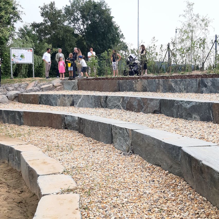 Bild enthält, Path, Walkway, Outdoors, Park, Plant, Person, Road, Gravel, Construction, Amphitheatre