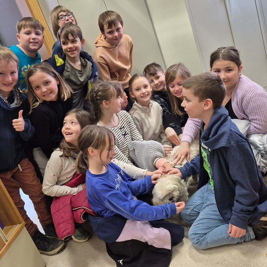 Eine Gruppe von Kindern ist um einen weißen Hund herum versammelt, lächelt und interagiert mit ihm. Sie befinden sich in einem Raum, wobei einige Kinder auf dem Boden sitzen und andere stehen. Der Hund wird von einem Jungen in einer blauen Kapuzenjacke gestreichelt.