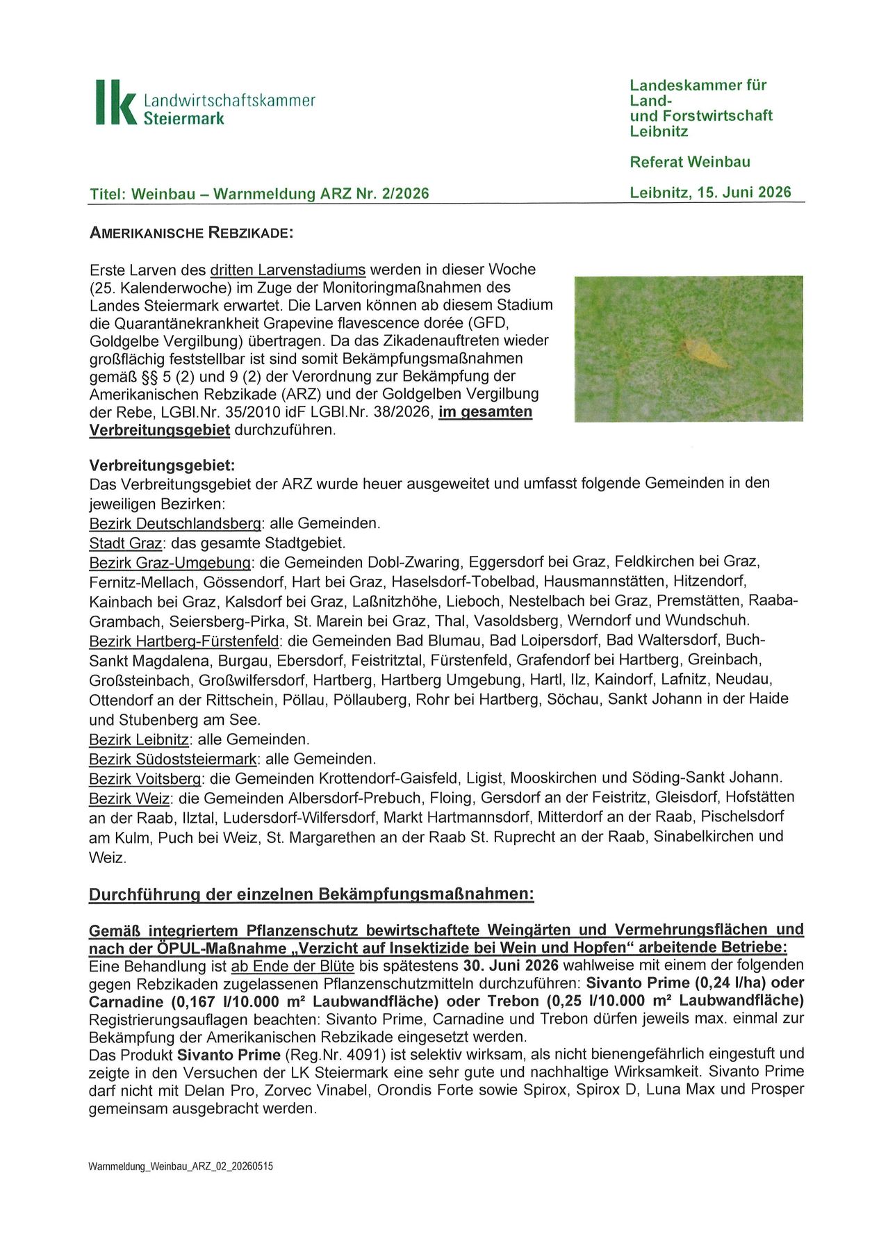 Die ersten Larven des dritten Larvenstadiums werden in dieser Woche (25. Kalenderwoche) im Zuge des Monitoringprogramms des Landes Steiermark erwartet. Die Larven können ab diesem Stadium die Quarantänekrankheit Grapevine flavescence dorée (GFD) übertragen. Das Zikadenaustreten wieder großflächig festgestellt ist sind somit Bekämpfungsmaßnahmen gemäß §§ 5 (2) und 9 (2) der Verordnung zur Bekämpfung der Amerikanischen Reblaus (ARZ) und der Goldbergpappel-Verfügung der Rebe, LGBlnr. 35/2010 idF LGBlnr. 38/2026, im gesamten Verbreitungsgebiet durchzuführen.