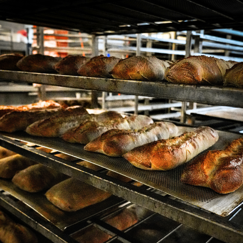 Ein Bäckereiofen gefüllt mit Brotplatten. Verschiedene Laibe sind gebacken und einige haben eine goldene Kruste. Die Platten sind in mehreren Schichten angeordnet.