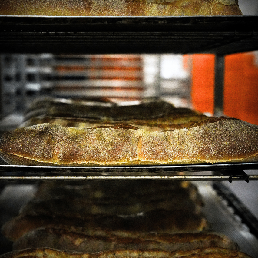 Ein Nahaufnahme von Brot, teilweise gebacken, ruht auf Gestellen. Die Brote sind braun und leicht golden, bestreut mit einer Prise Mehl. Dahinter sind die Gestelle vertikal gestapelt, mit einer verschwommenen Ansicht einer roten Wand.