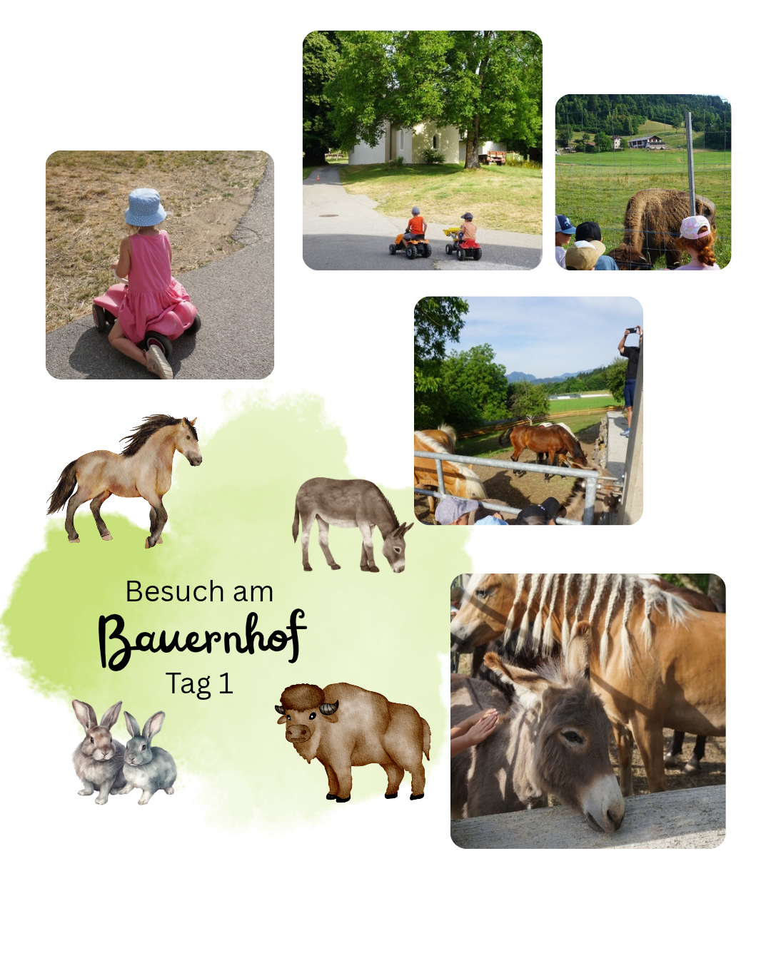 Eine Collage von Fotos eines Bauernhofbesuchs am Tag 1, mit Kindern auf Spielzeugautos, Menschen mit Tieren und einer Collage von Bauernhoftieren.