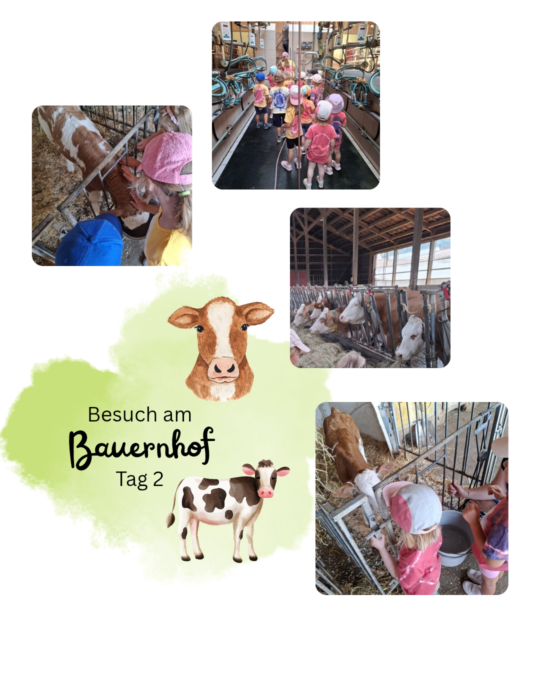 Eine Collage von Bildern, die Kinder auf einem Bauernhof zeigen. Ein Bild zeigt ein Kind, das eine Kuh streichelt. Ein anderes zeigt Kinder, die in einer Scheune gehen. Das letzte Bild zeigt ein Kind, das eine Kuh füttert.