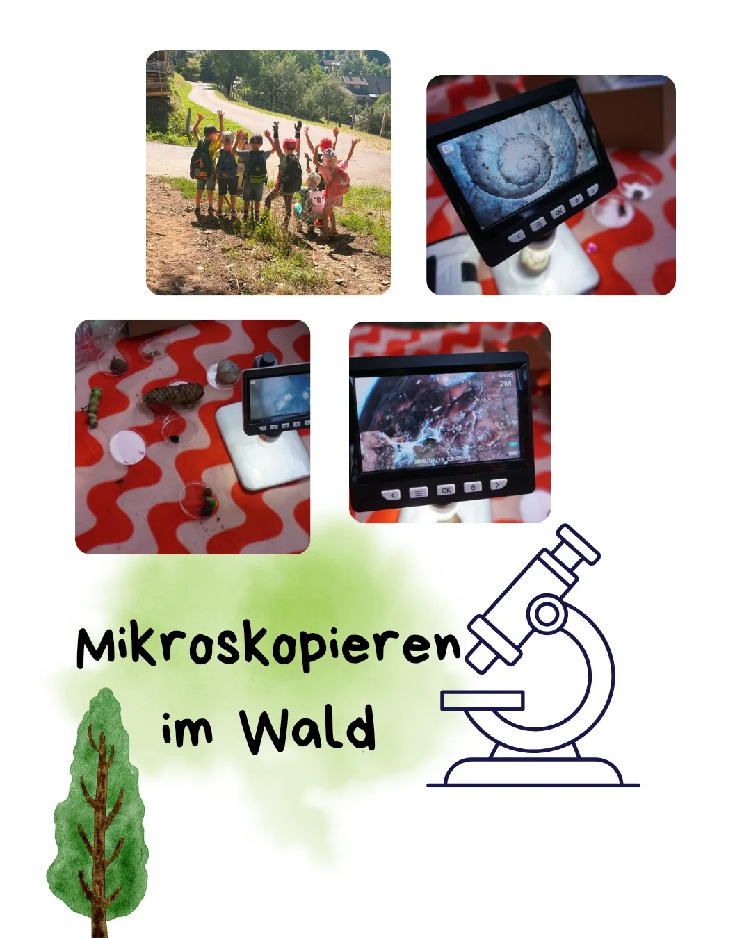 Eine Collage von Bildern, die Kinder im Wald, Mikroskope und einen Baum mit dem Text Mikroskopieren im Wald zeigt.