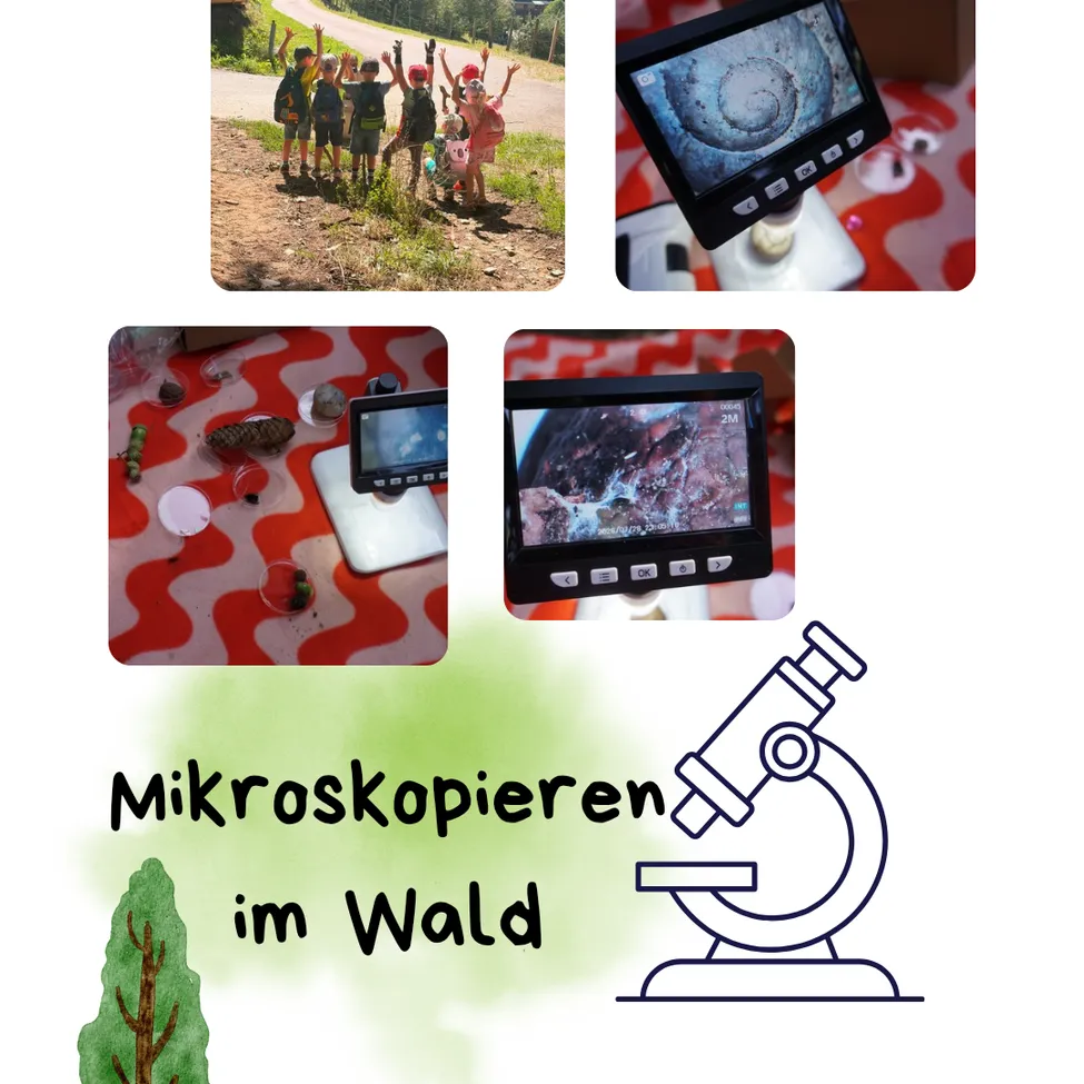 Eine Collage von Bildern, die Kinder im Wald, Mikroskope und einen Baum mit dem Text Mikroskopieren im Wald zeigt.