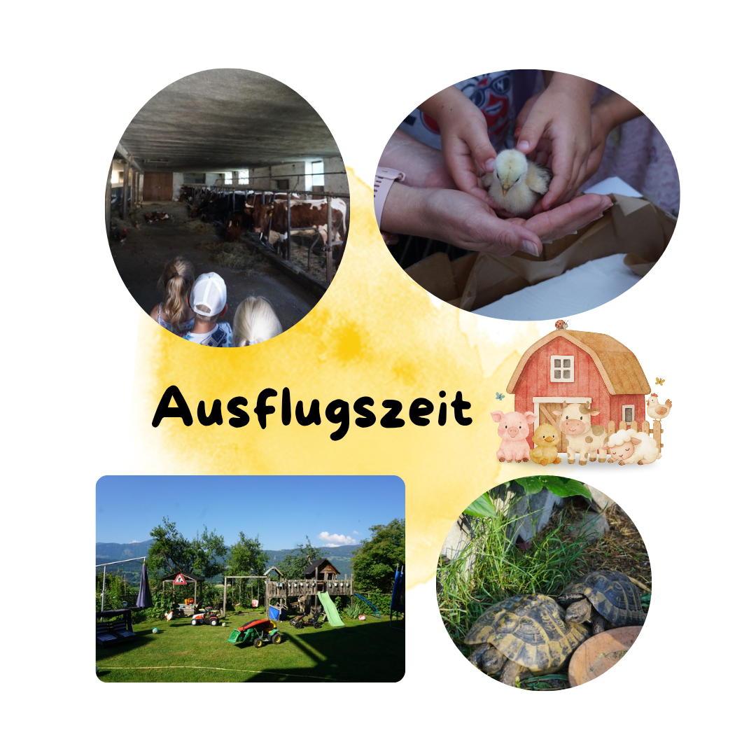A collage of farm scenes. A barn with animals, children in a barn, a sunny field, and tortoises in grass. The word 'Ausflugszeit' is in bold.