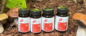 Bild enthält, Herbal, Herbs, Plant, Leaf, Fungus, Soil, Can, Tin, Bottle